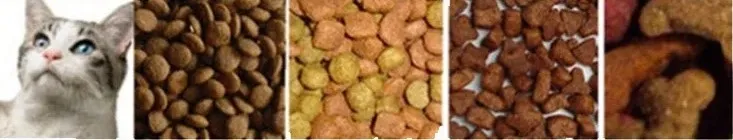 20251017163606 20251017163606