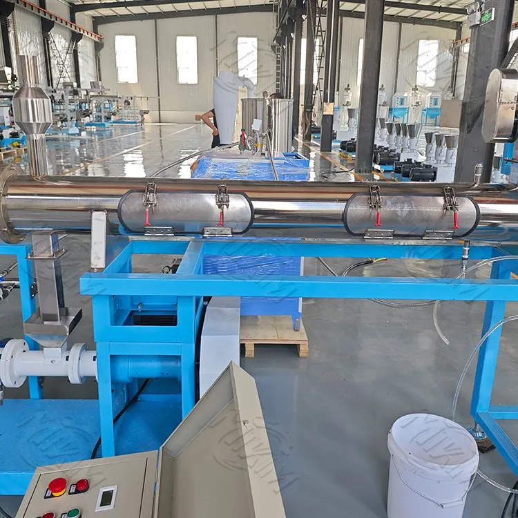 000920240509115824 000920240509115824